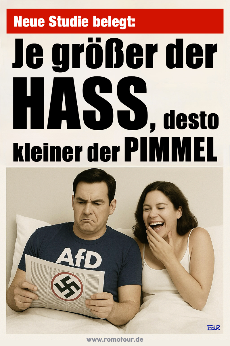 romotour___nonazi___hass-klein___web_800x1200