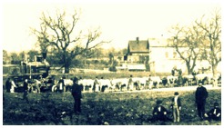 HUNGARIA-Ochsenkarren