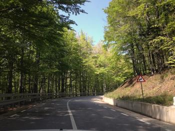 Serpentinengarten - geführte Motorradtour nach Rumänien / Motorradreisen nach Rumänien